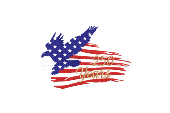 Reviewing America Flag 250 Years Embroidery